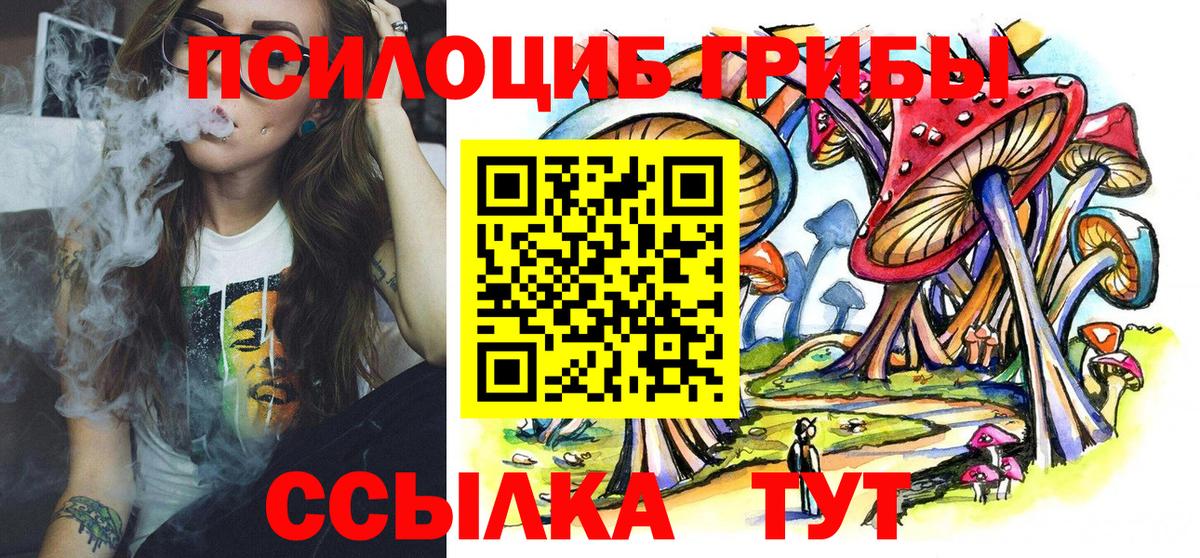 Псилоцибиновые грибы GOLDEN TEACHER  Вход с VPN  Большой Камень 
